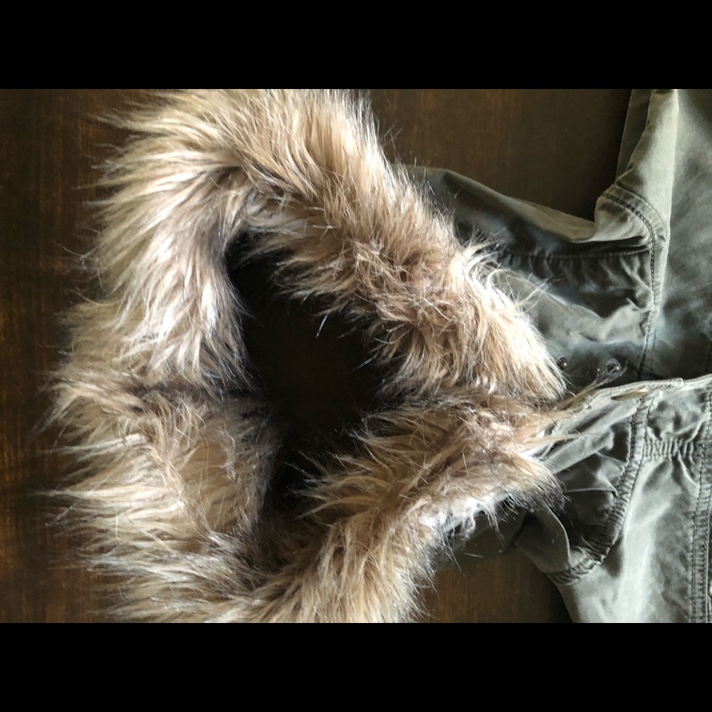 Jacket - Picture 6 of 6